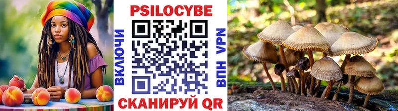 дарнет шоп Горняк Галлюциногенные грибы мухоморы